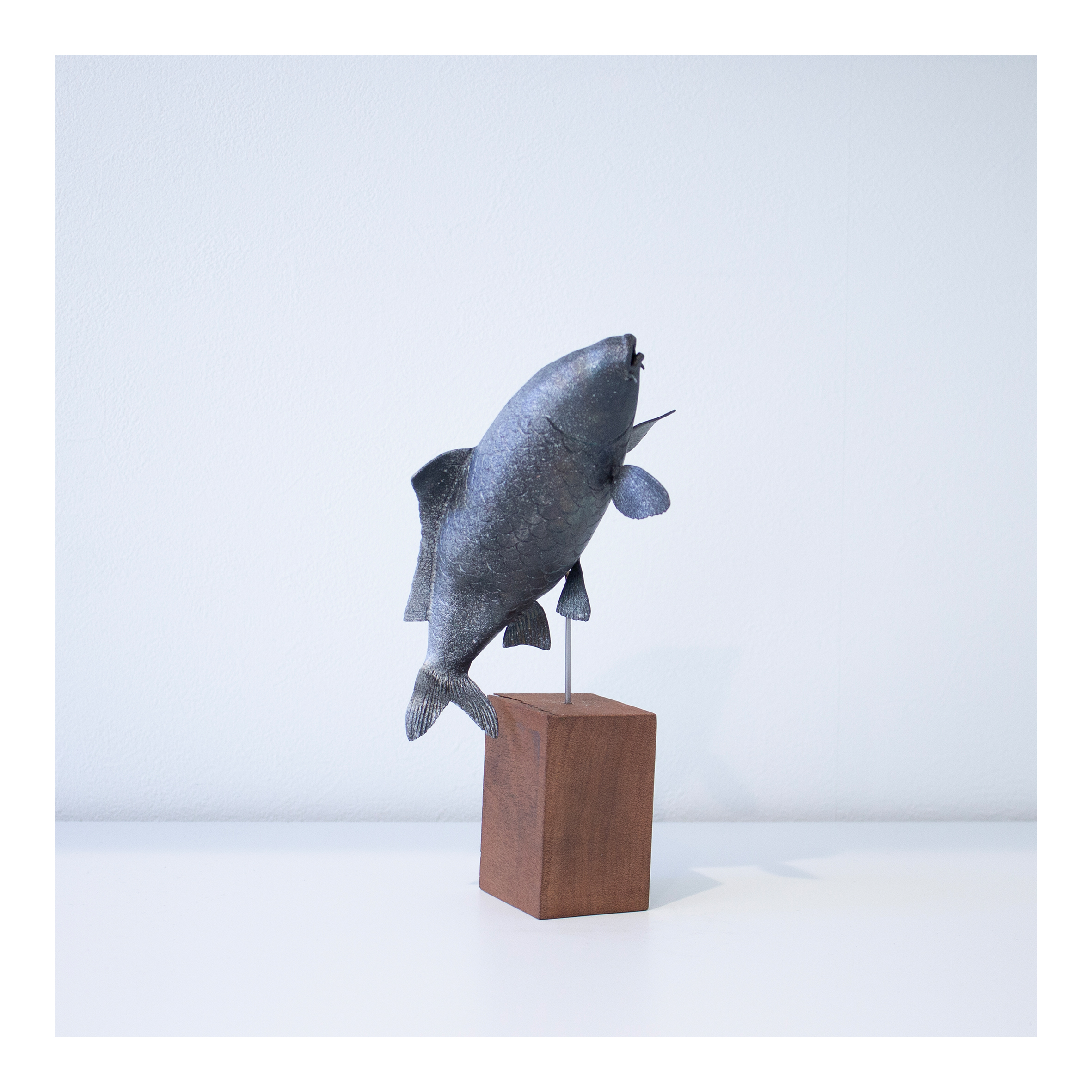 koi_04.jpg